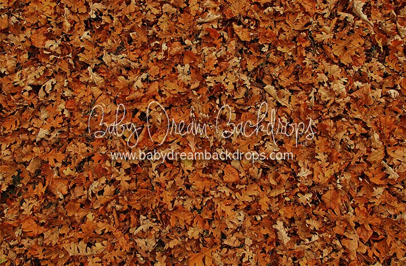 Fall Hike Leaves Fabric Floor (CC)