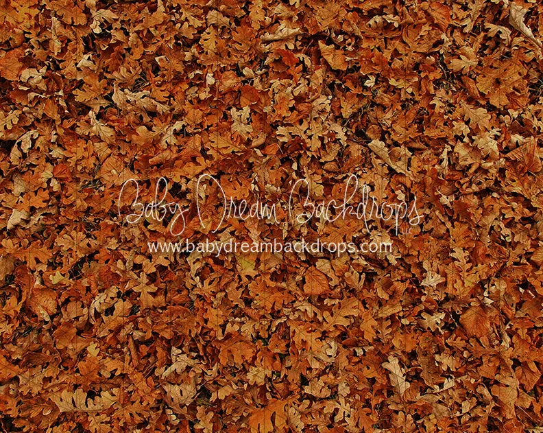 Fall Hike Leaves Fabric Floor (CC)