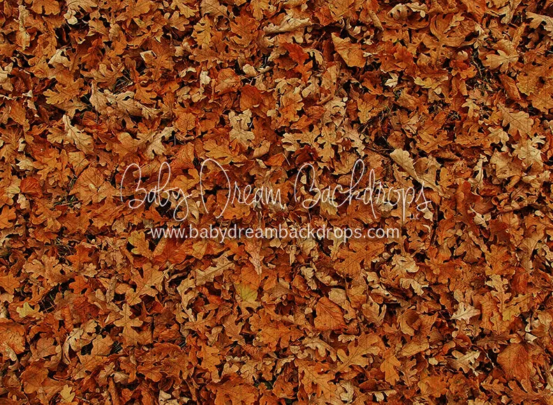 Fall Hike Leaves Fabric Floor (CC)