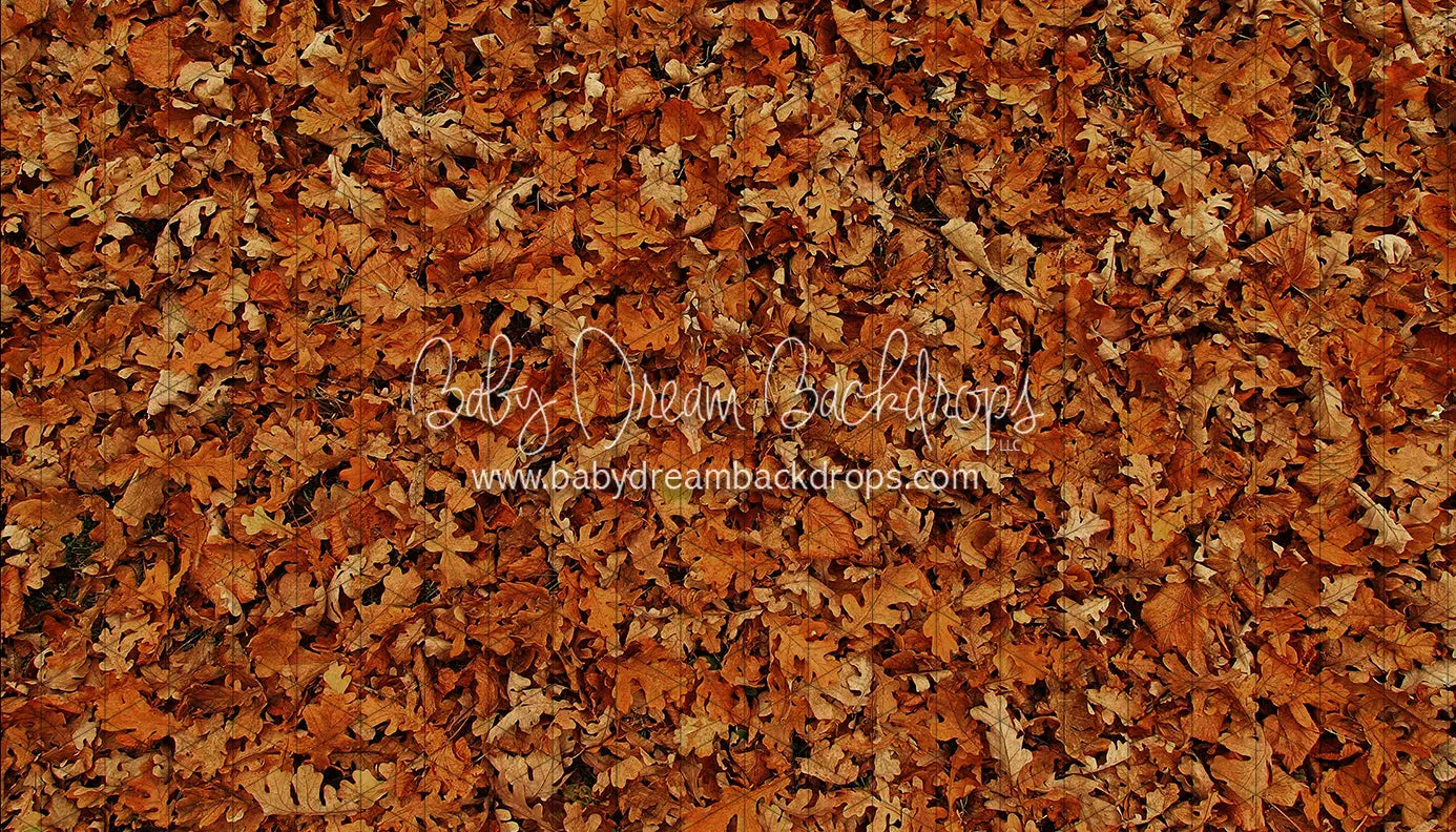 Fall Hike Leaves Fabric Floor (CC)