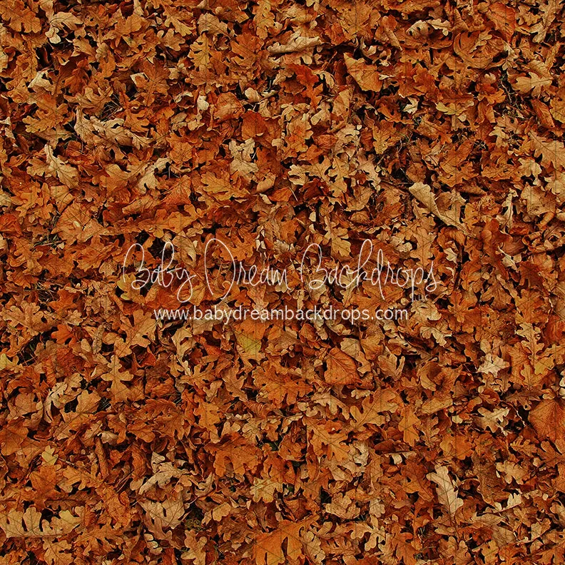 Fall Hike Leaves Fabric Floor (CC)